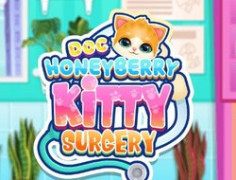 Doc HoneyBerry Kitty Surgery